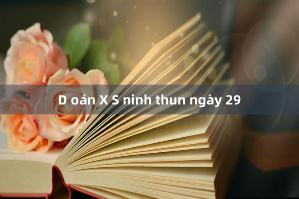 D oán X S ninh thun ngày 29