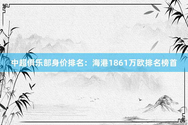 中超俱乐部身价排名：海港1861万欧排名榜首