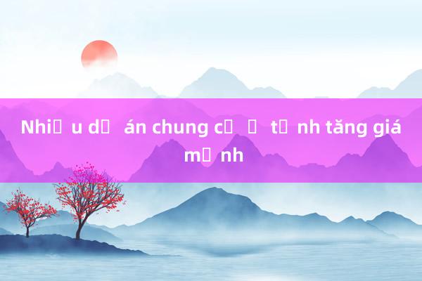 Nhiều dự án chung cư ở tỉnh tăng giá mạnh