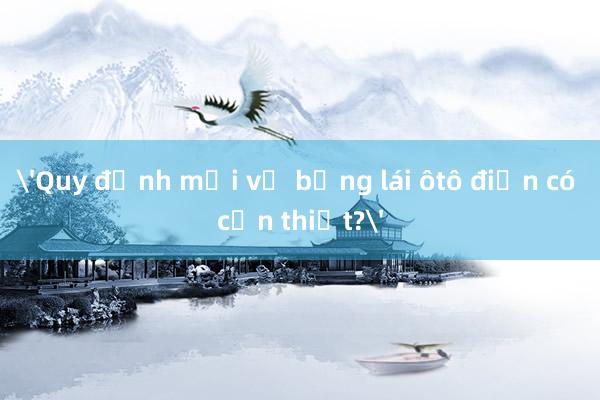 'Quy định mới về bằng lái ôtô điện có cần thiết?'