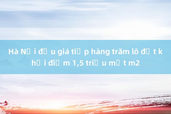 Hà Nội đấu giá tiếp hàng trăm lô đất khởi điểm 1,5 triệu một m2