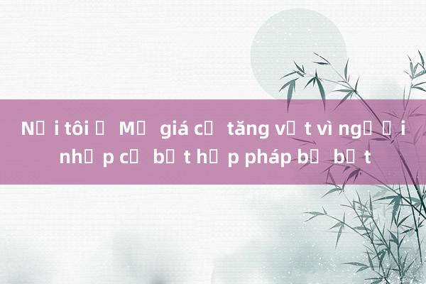 Nơi tôi ở Mỹ giá cả tăng vọt vì người nhập cư bất hợp pháp bị bắt