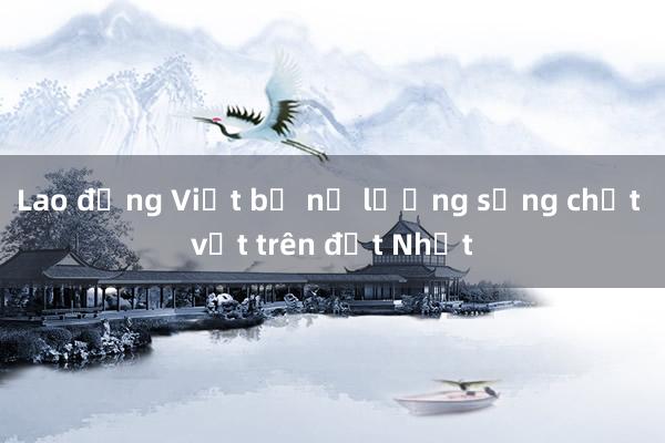 Lao động Việt bị nợ lương sống chật vật trên đất Nhật