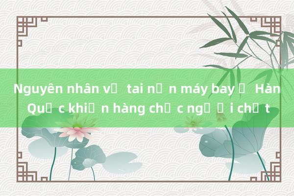 Nguyên nhân vụ tai nạn máy bay ở Hàn Quốc khiến hàng chục người chết