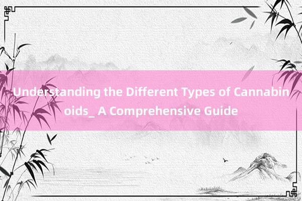 Understanding the Different Types of Cannabinoids_ A Comprehensive Guide